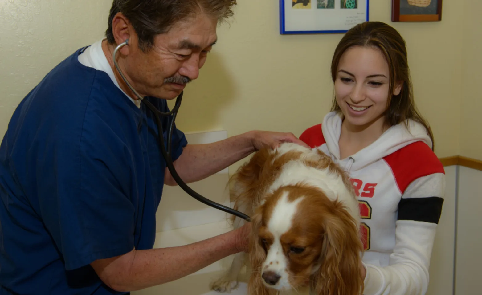 Veterinarian with Girl Examining an Orange/White Dog at Kirkwood Animal Hospital